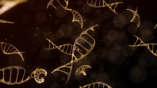 中國農業科學家首次揭秘水稻自私基因