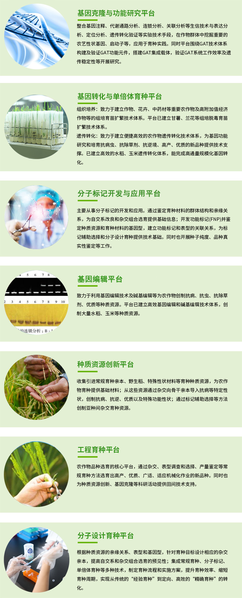 研發平臺要修改圖片 已改好副本.jpg
